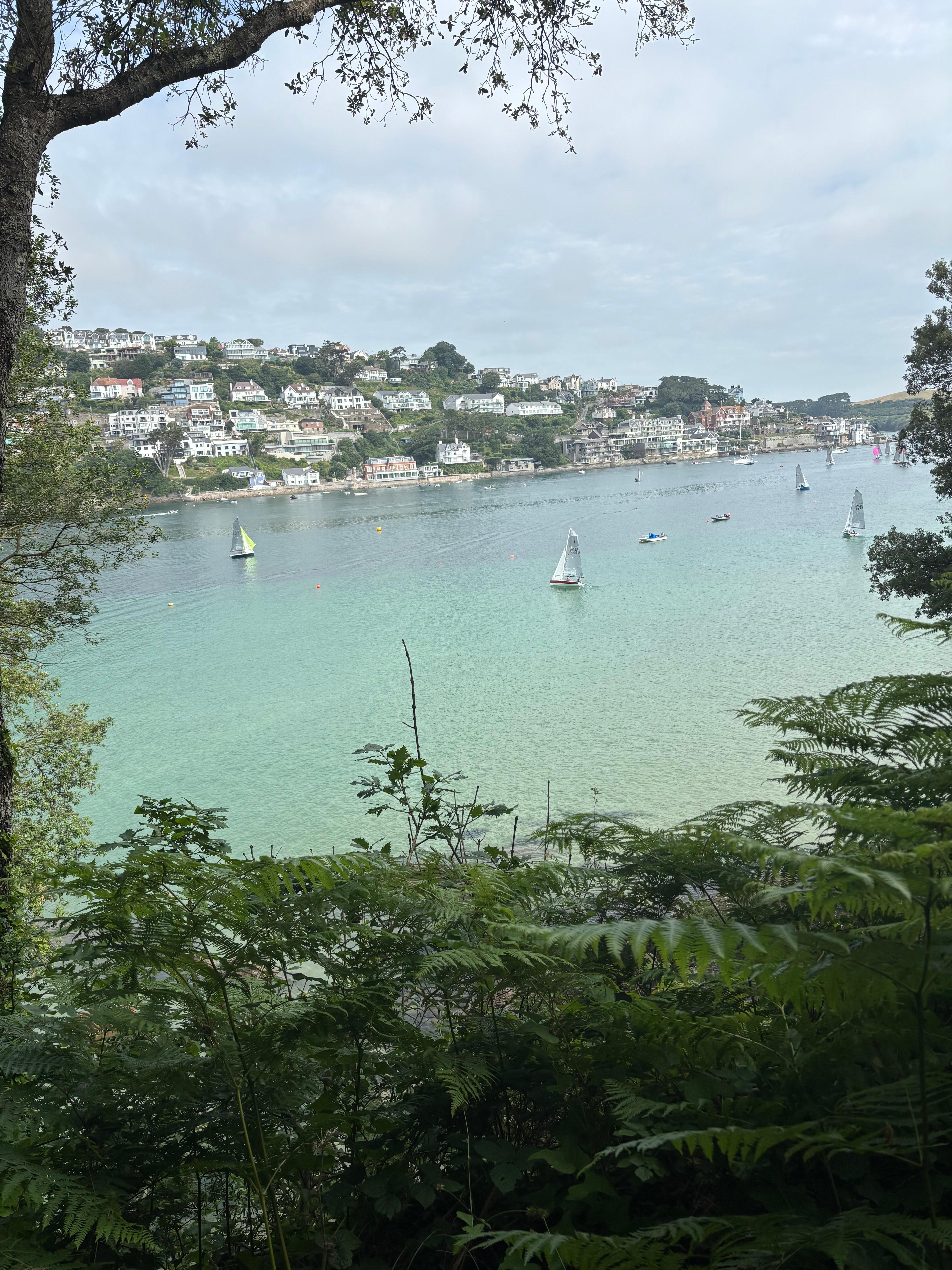 Salcombe from coastal path 