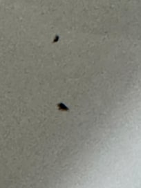 Enamel from shower / bath chipped away