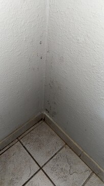 The mold in the bathroom