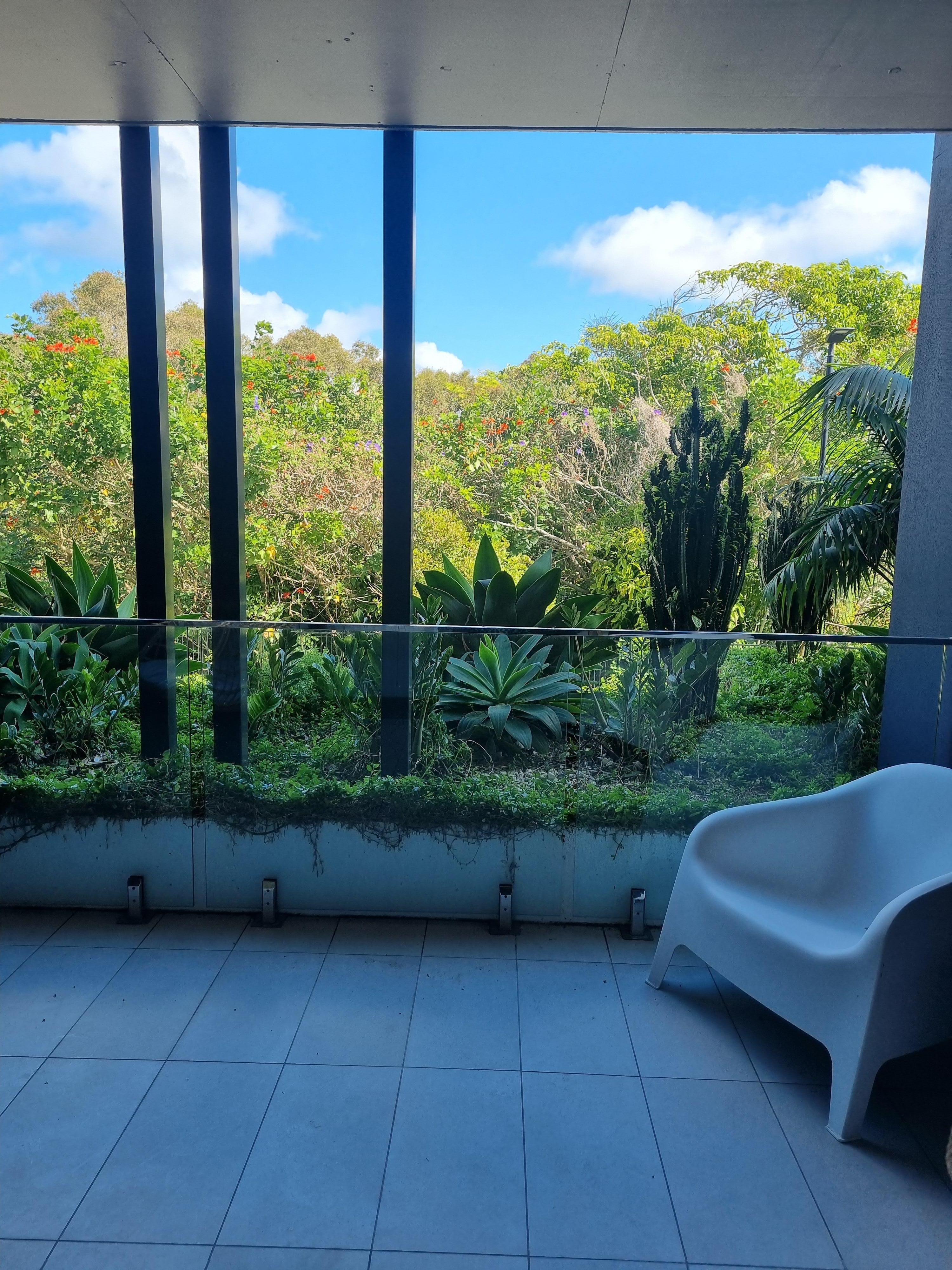 A pleasant outlook into nature and hundreds of acres of beautiful bushland, from within Room 113.