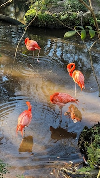 Ellie Schiller Homosassa Springs Wildlife State Park, Homosassa, FL