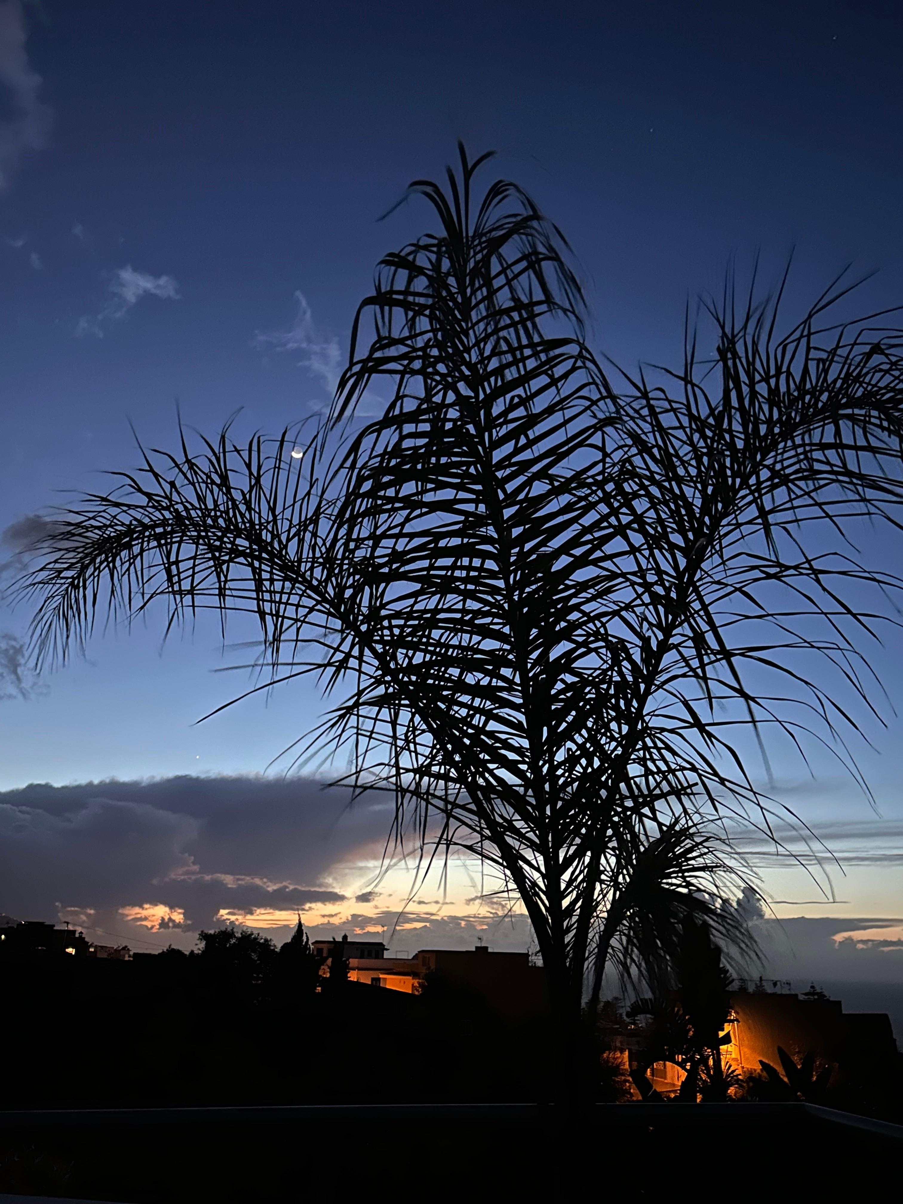 View from the roof terrace at sunset