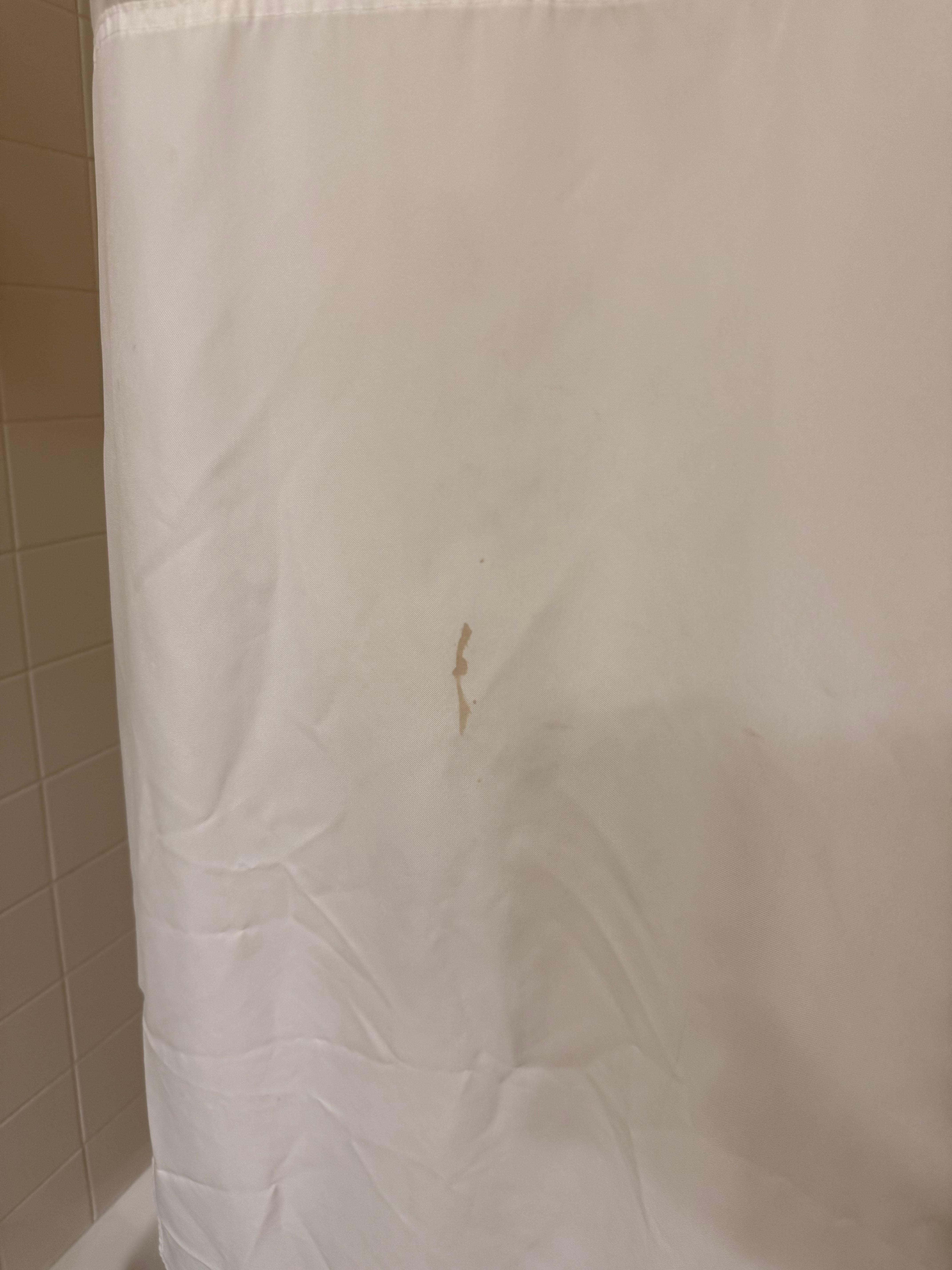 Blood on the shower curtain