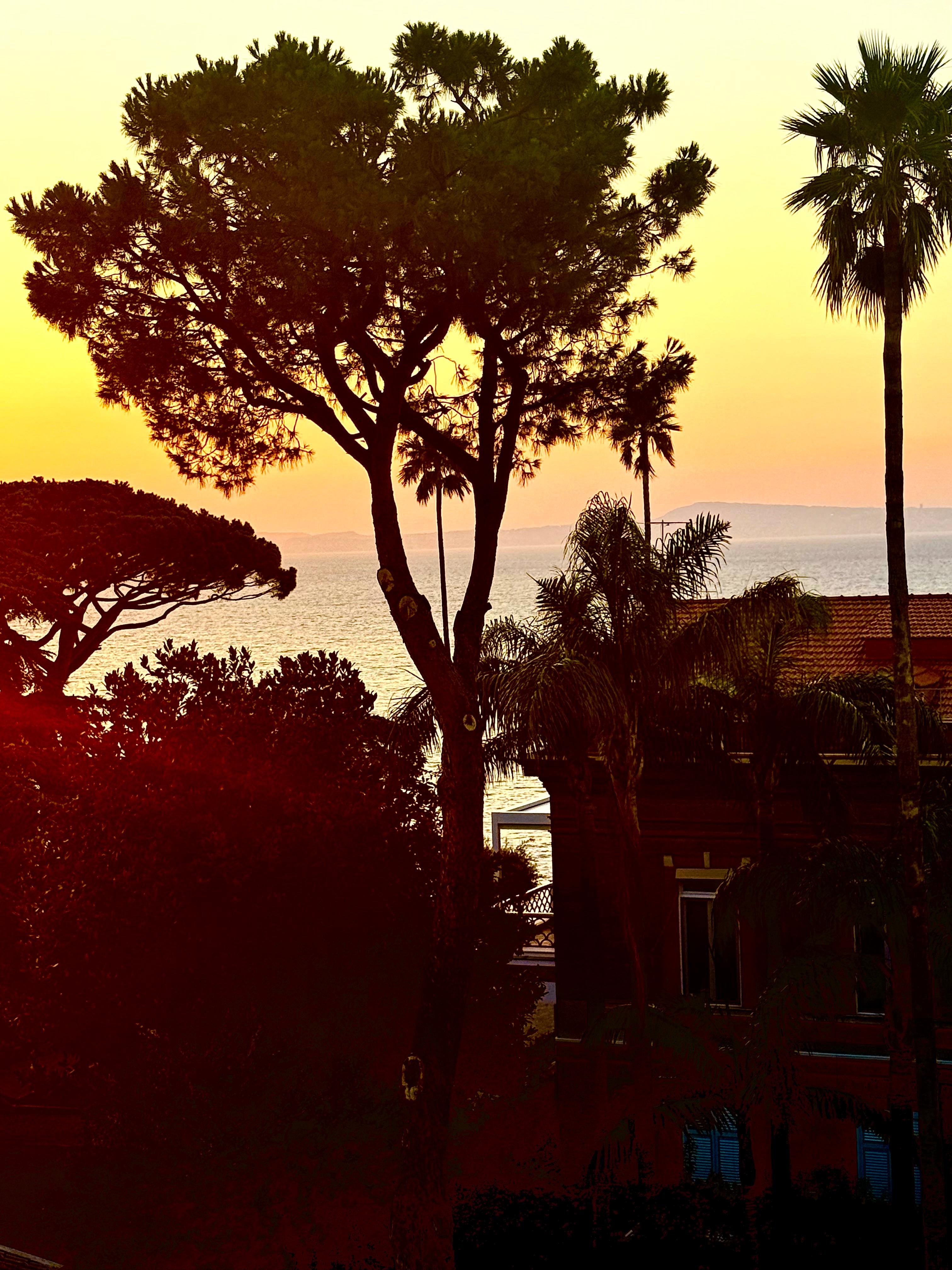 Sunset view from balcony of suite