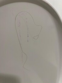 Sticky substance on back of toilet seat(my hair and purple shirt stuck to it)