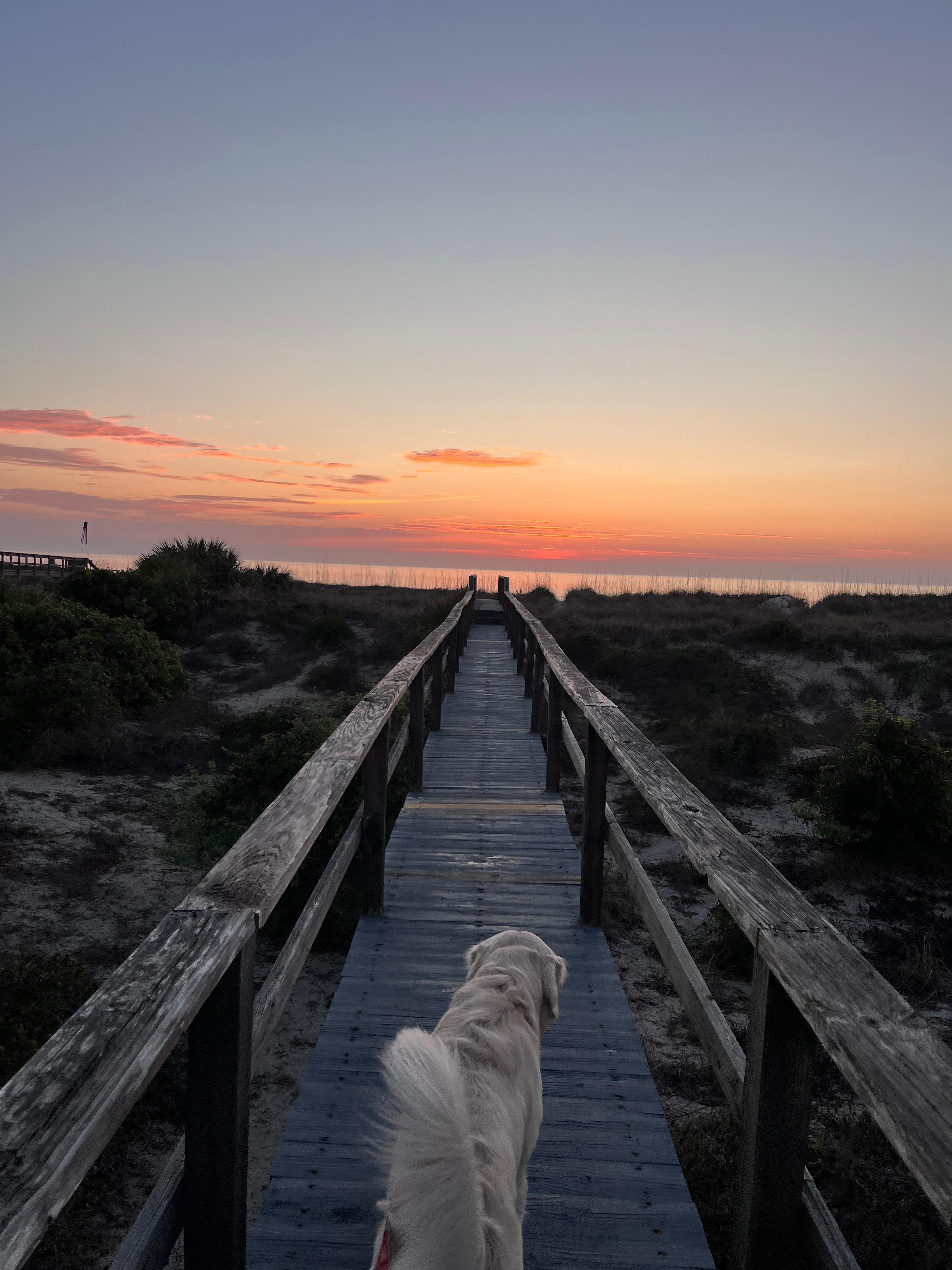 Heading out for our morning walk.