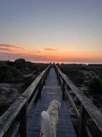 Heading out for our morning walk.