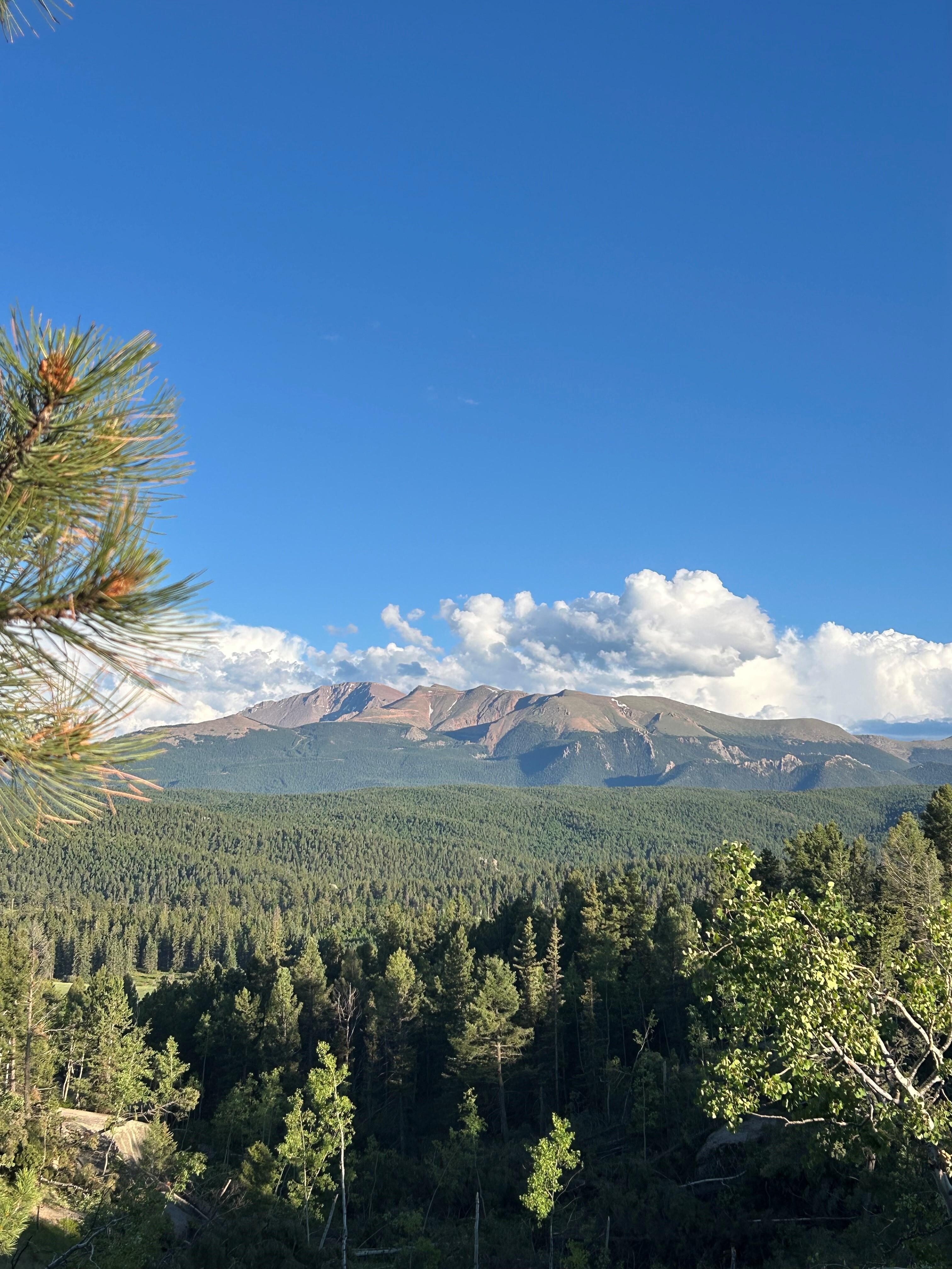View of Pike's Peak from the road outside of the property.