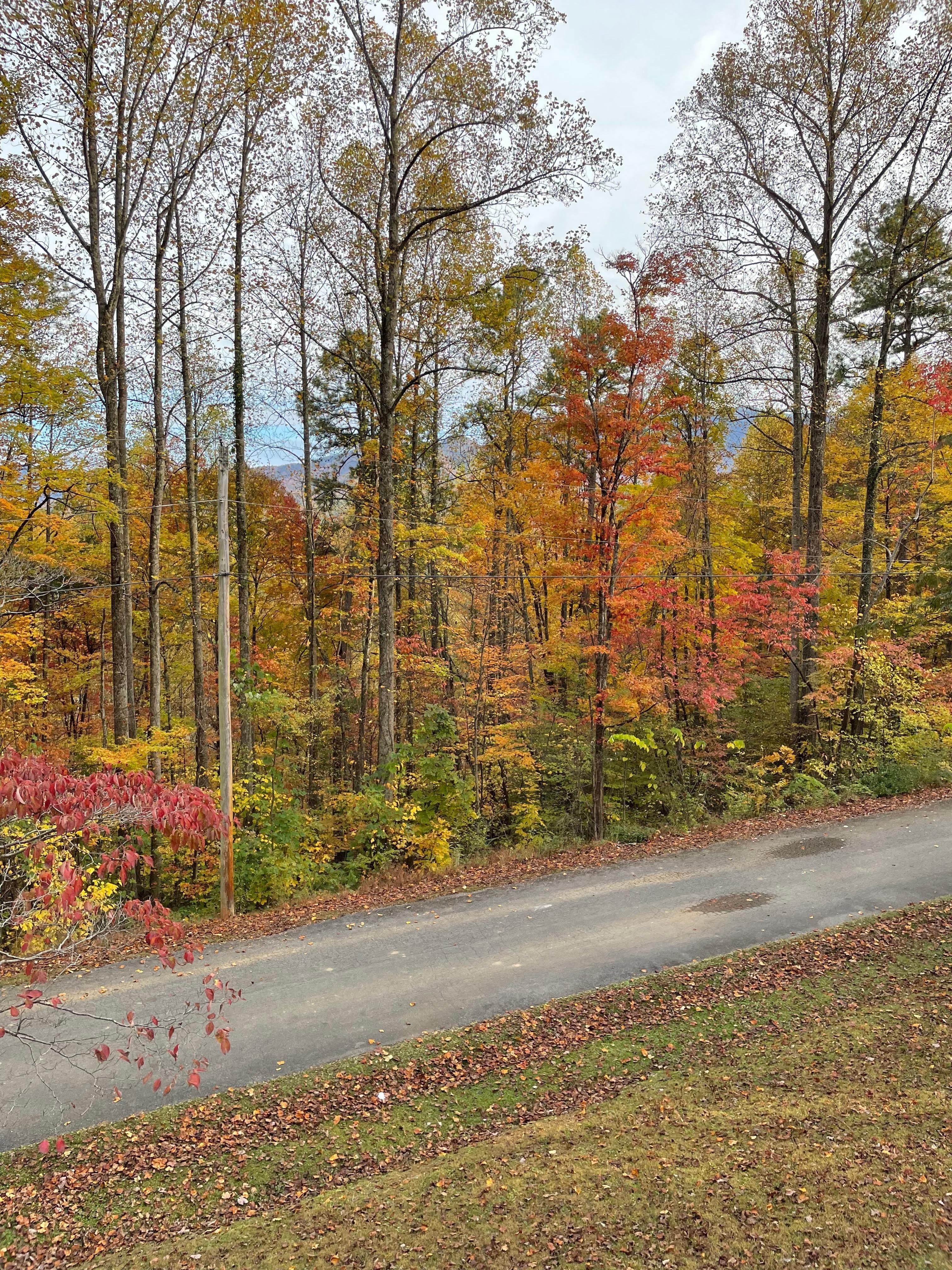 Our view from the front porch we lucked out the leaves were changing while we were there