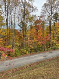 Our view from the front porch we lucked out the leaves were changing while we were there
