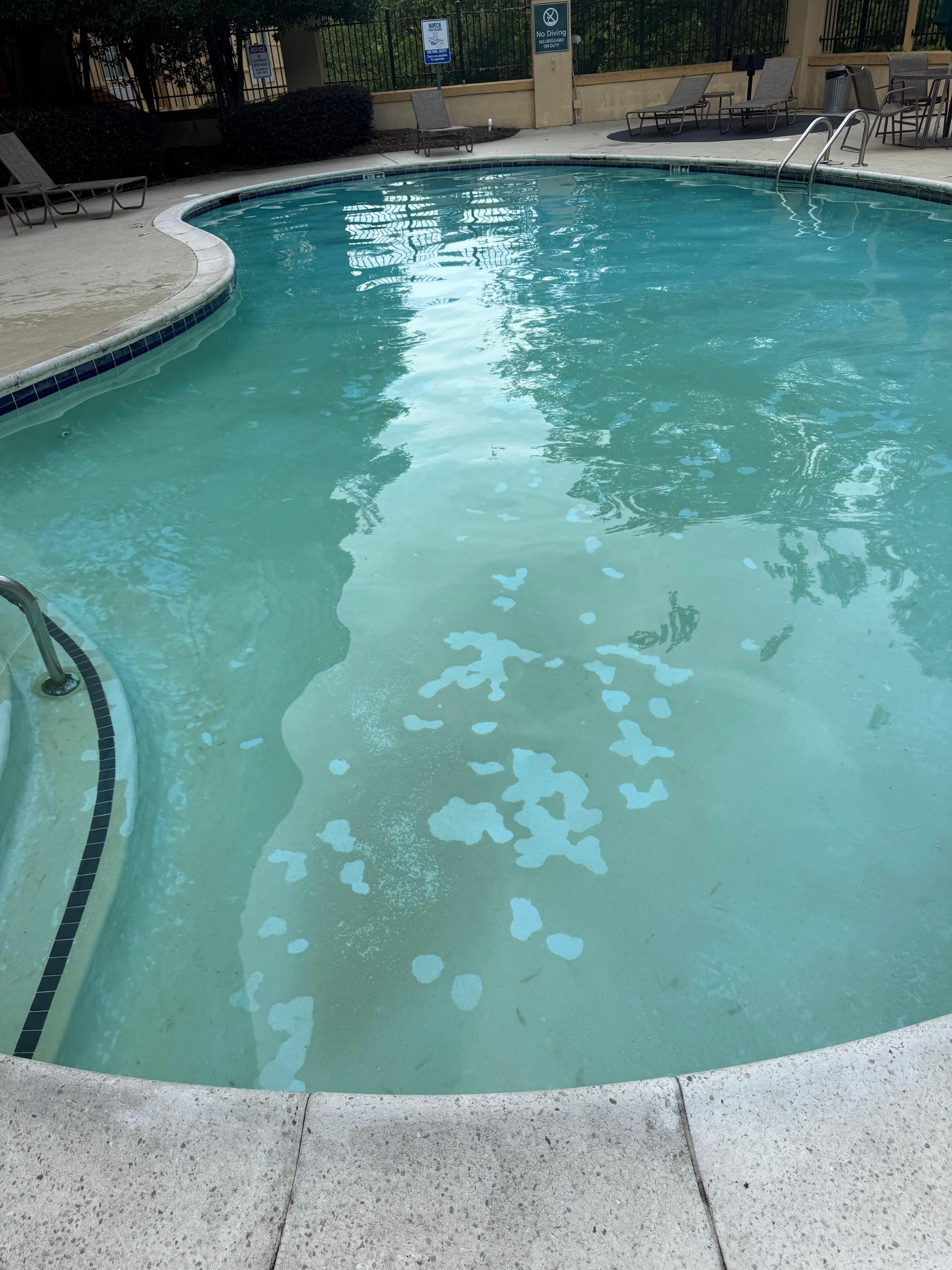 Dirty pool. I had already promised pool time so I let them swim. 