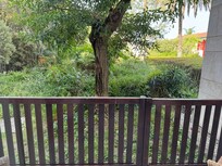 “Garden” view from suite
