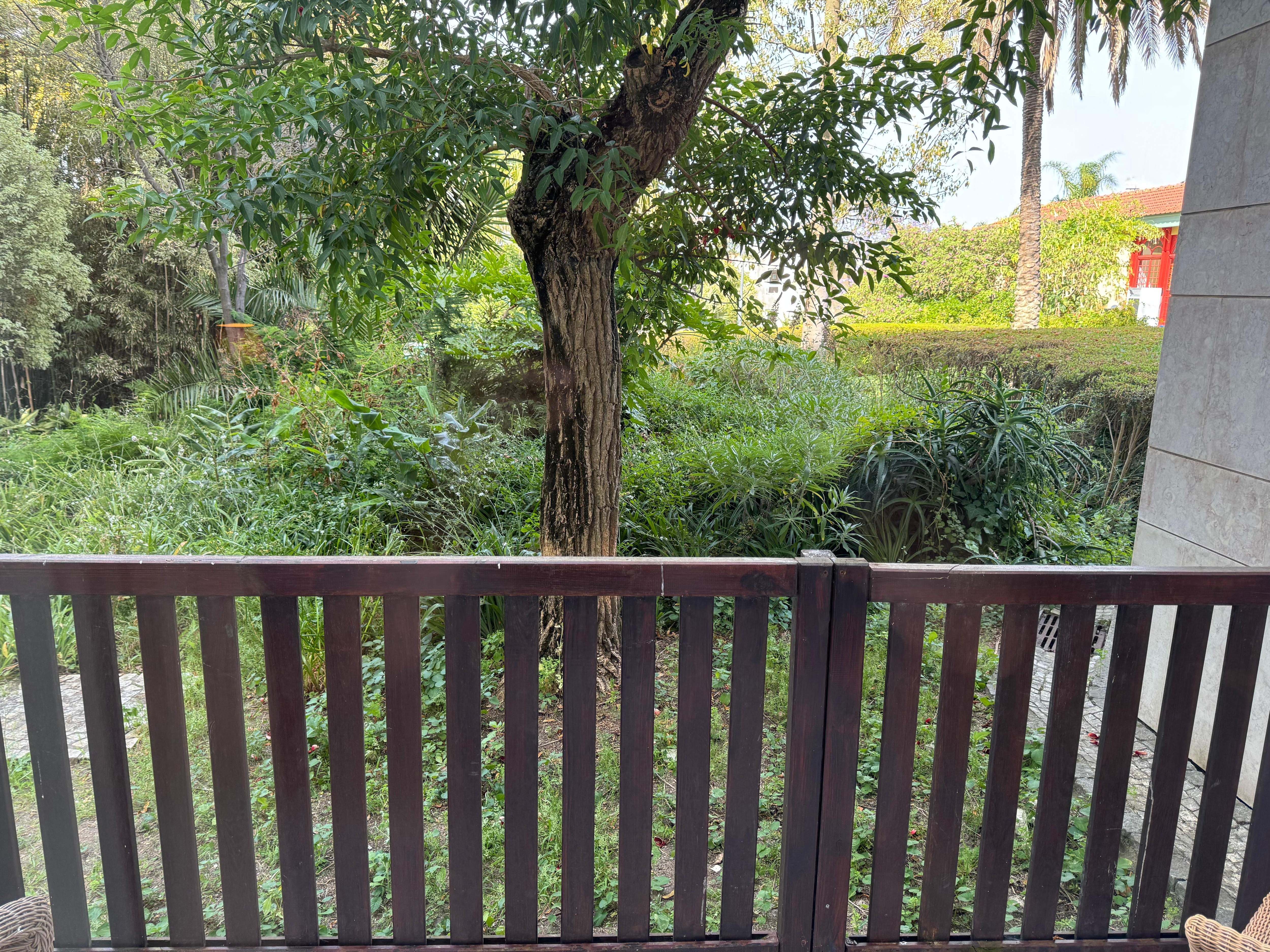 “Garden” view from suite