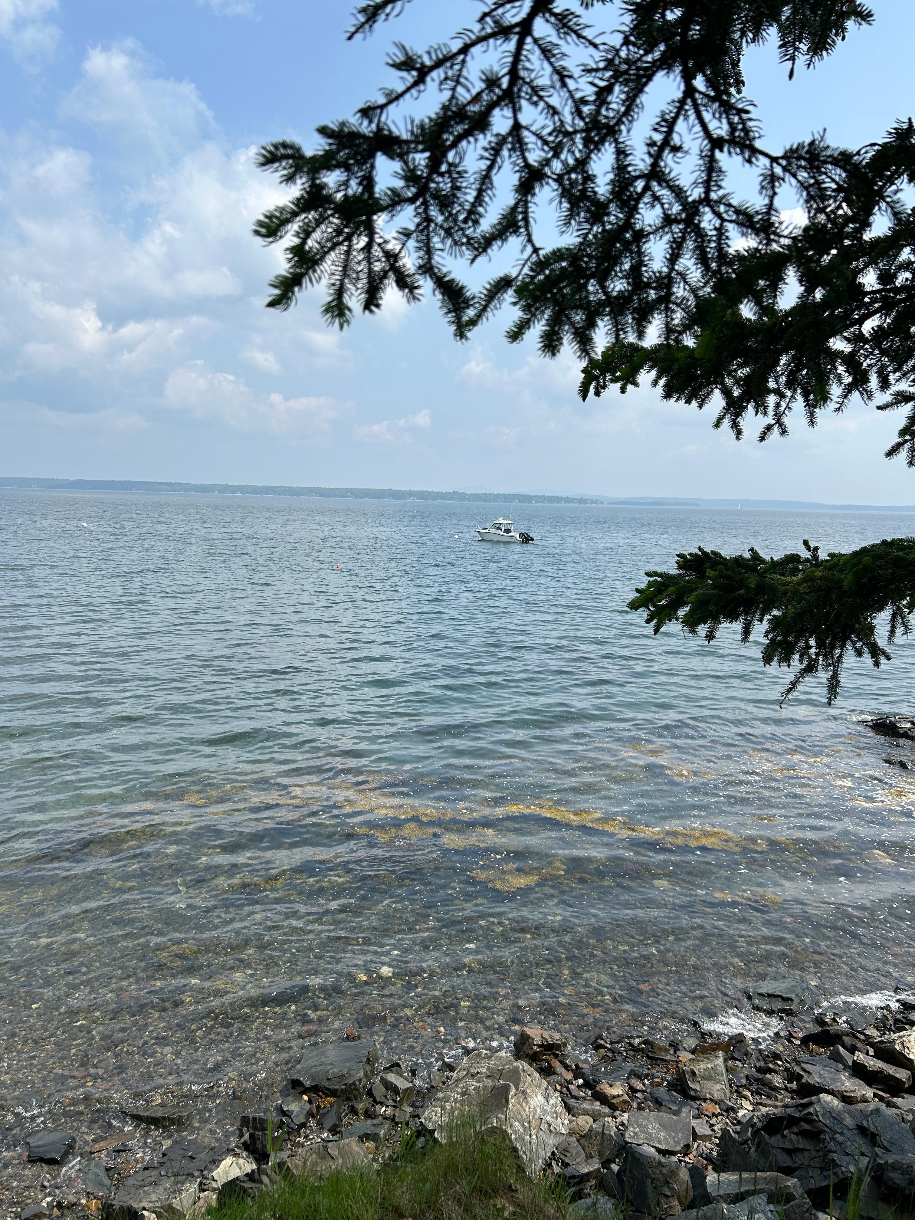 Just a short walk from the house. 