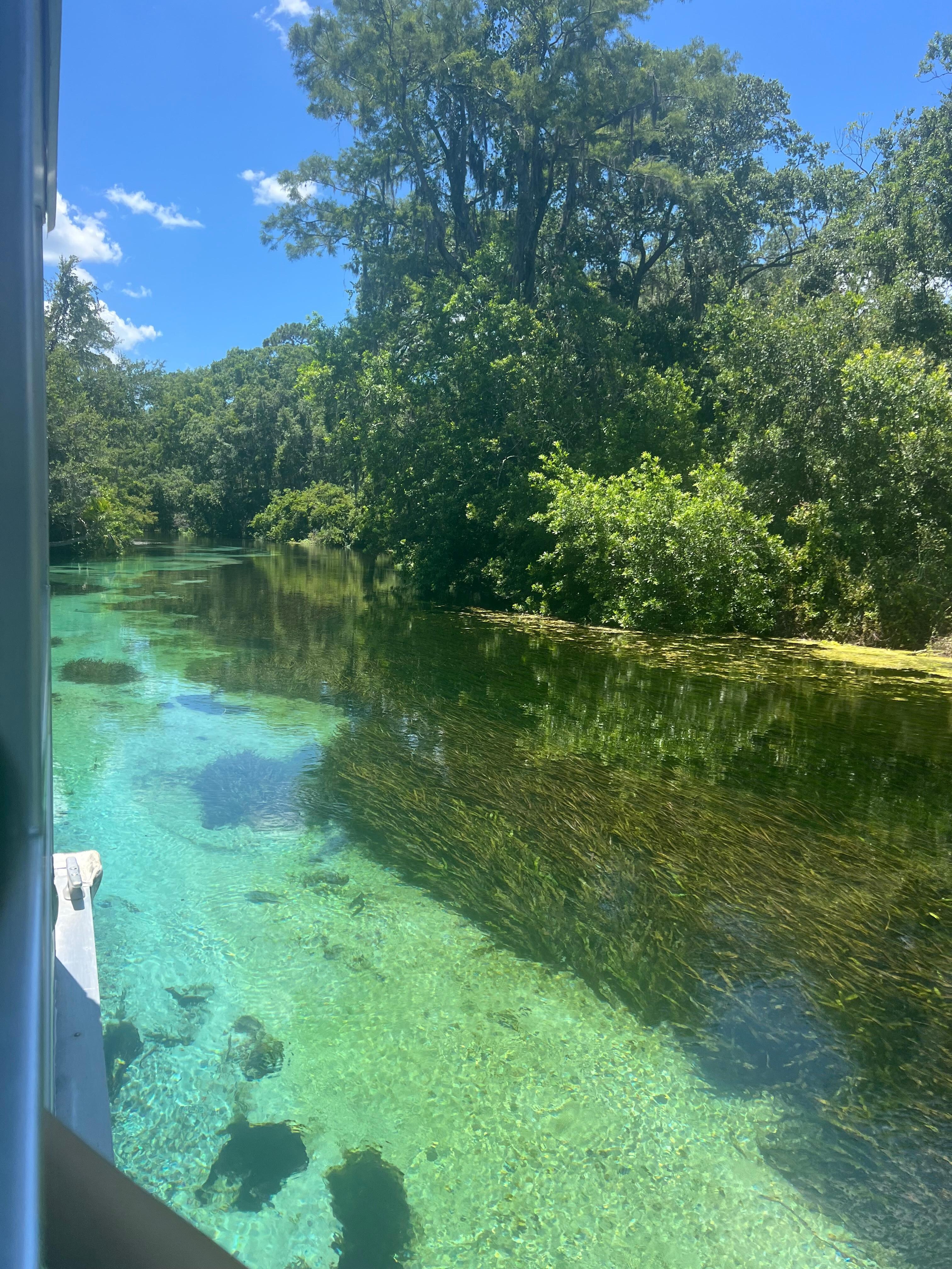 Weeki Wachee - during the summer it’s recommended to show up by 9 am weekdays and 8 am weekends - opens at 9