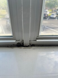 Master bedroom window. Not sure if it’s mildew from wetness