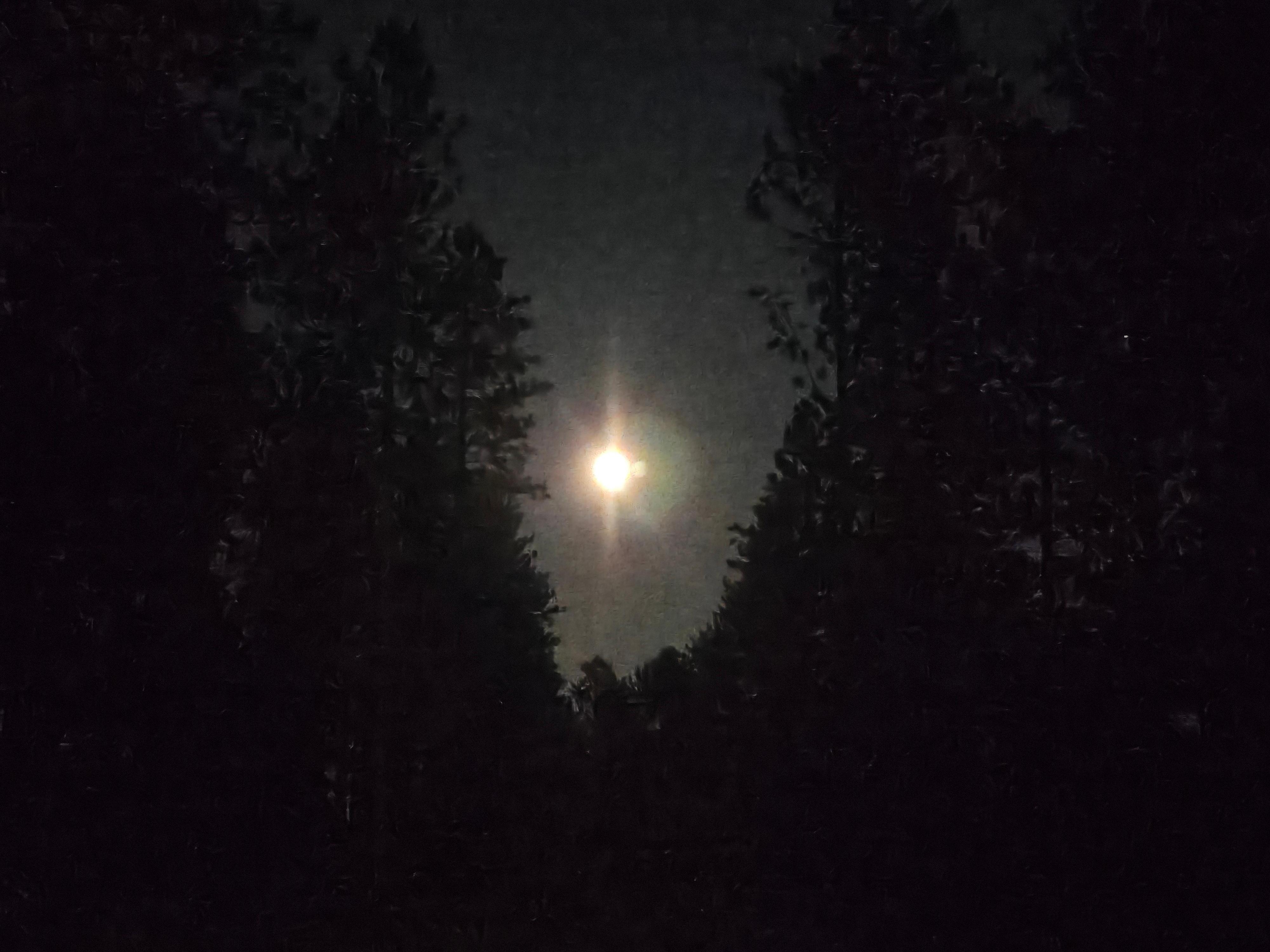 Watched the gorgeous full moon move across the sky from the fire pit area. 