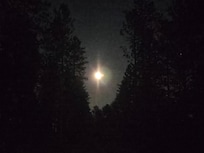 Watched the gorgeous full moon move across the sky from the fire pit area.