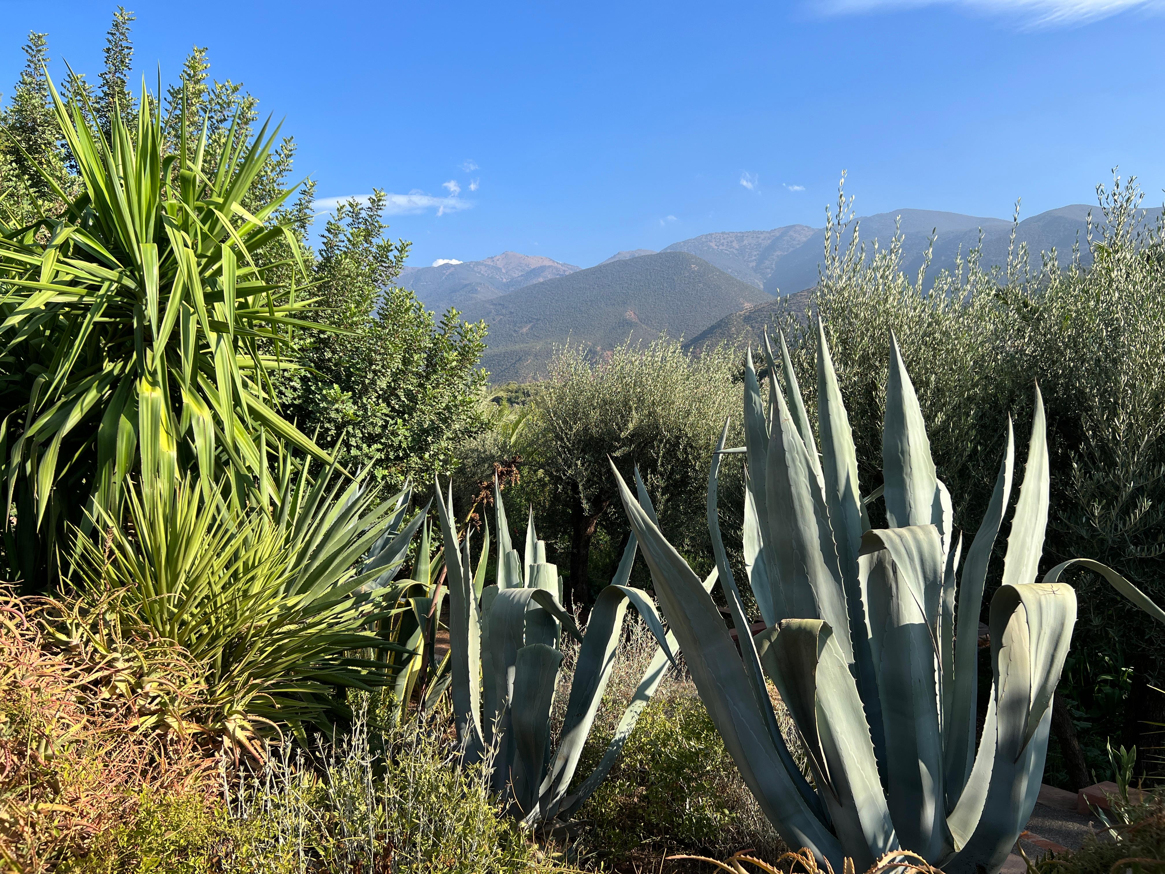 View from hotel entrance over mountains