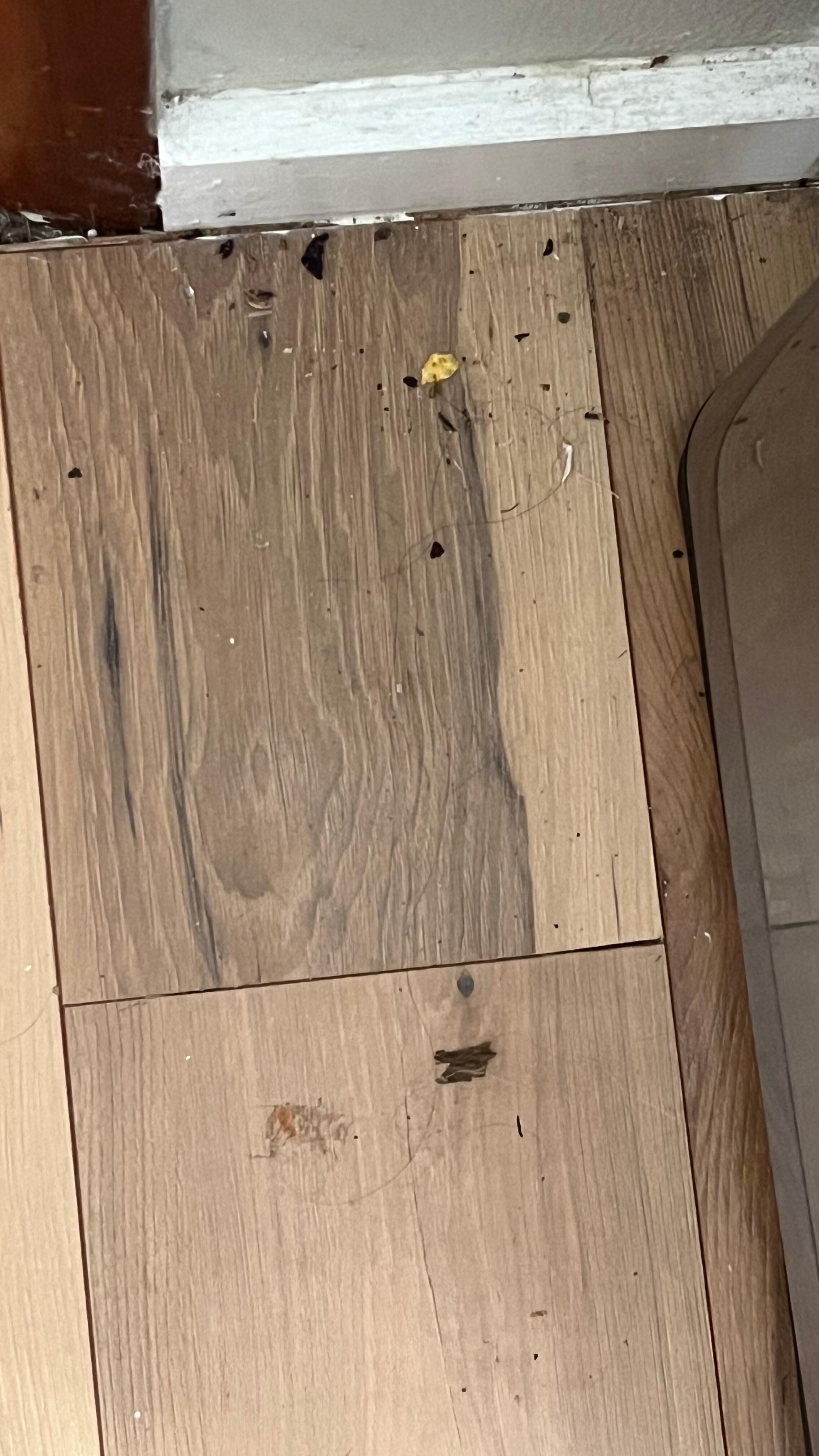 Kitchen floor