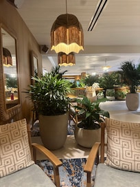 Cozy spot I found in the lobby to recharge and reset.