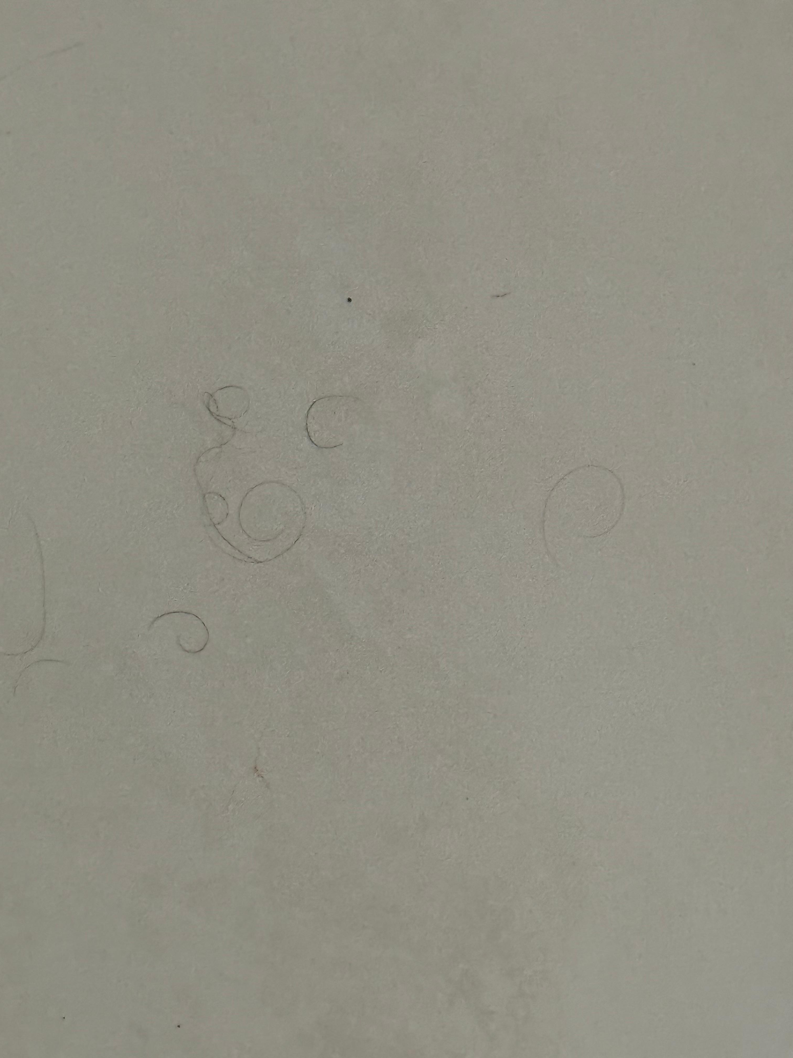 Hair in the tub. All pictures were sent to the owner 