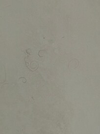Hair in the tub. All pictures were sent to the owner