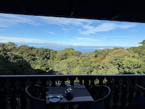 View from on-property restaurant