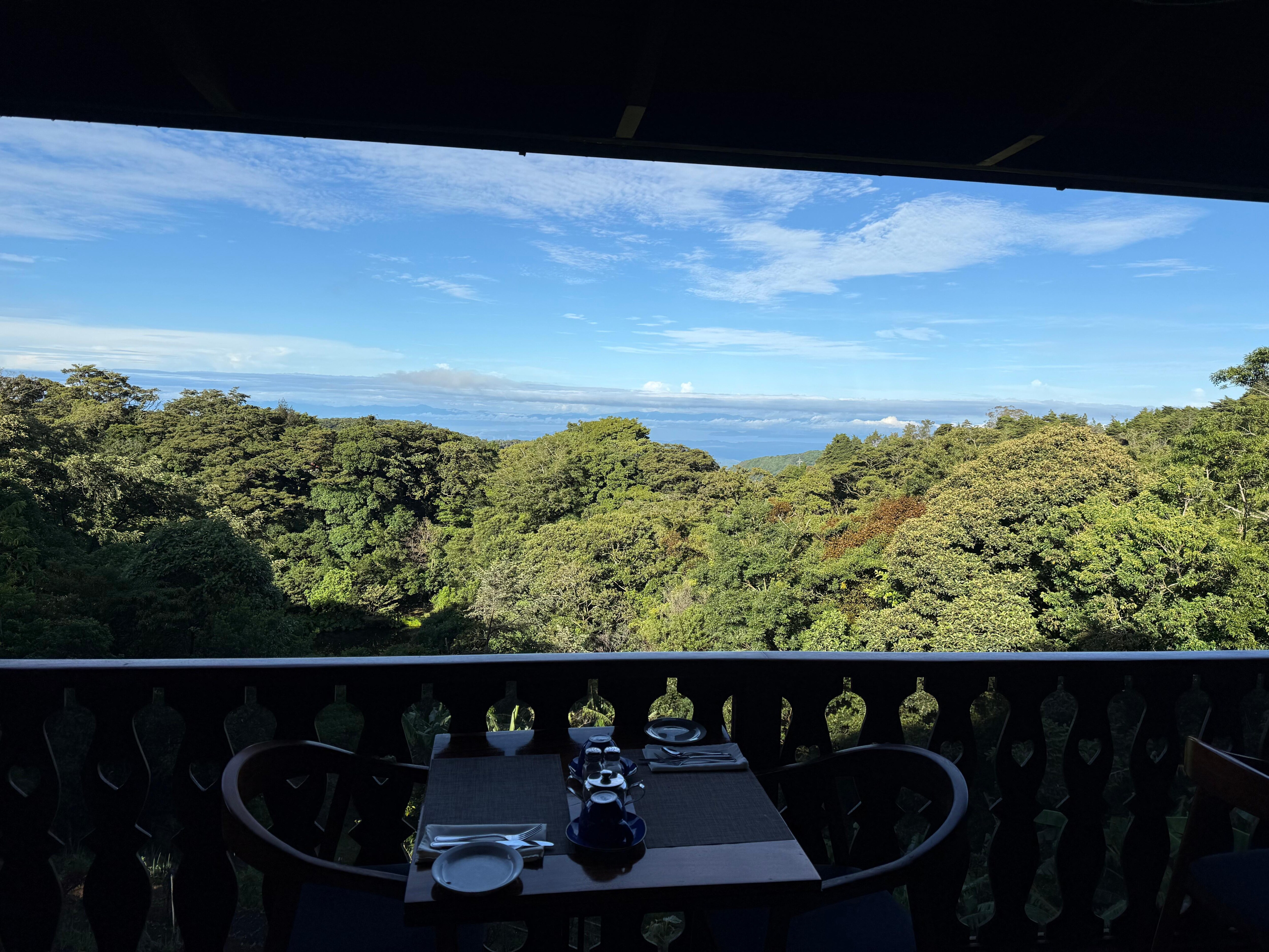 View from on-property restaurant 