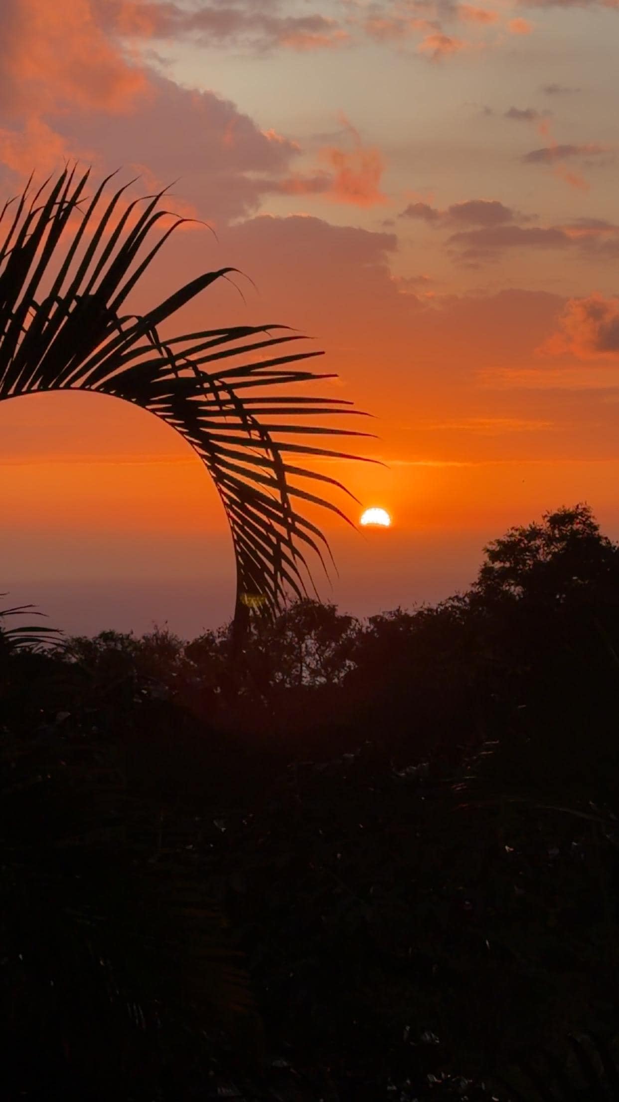 Sunsets were gorgeous!