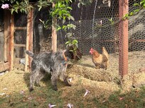 Two friends in discussion ...