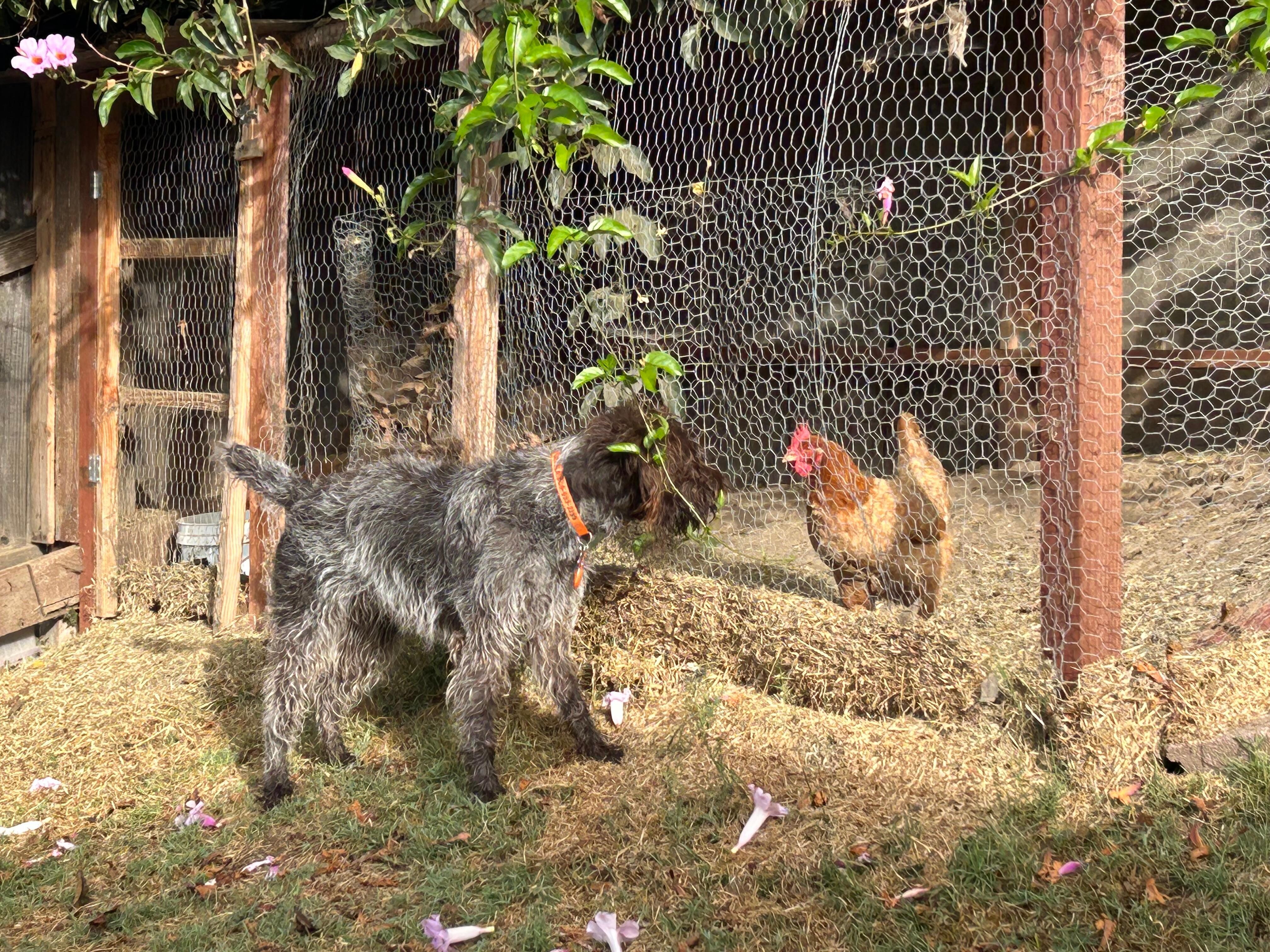 Two friends in discussion ...