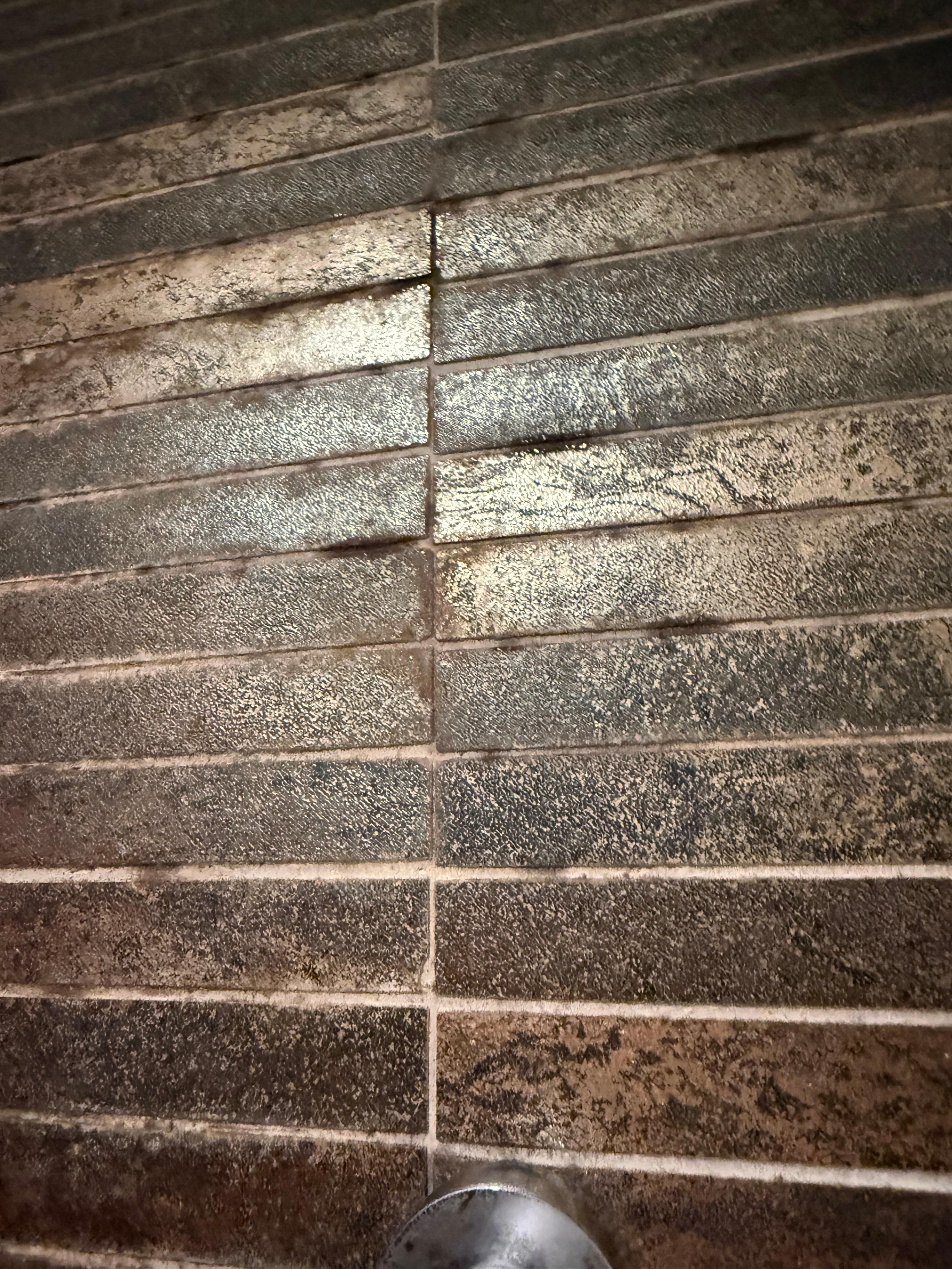Moldy all over the shower and bathroom walls