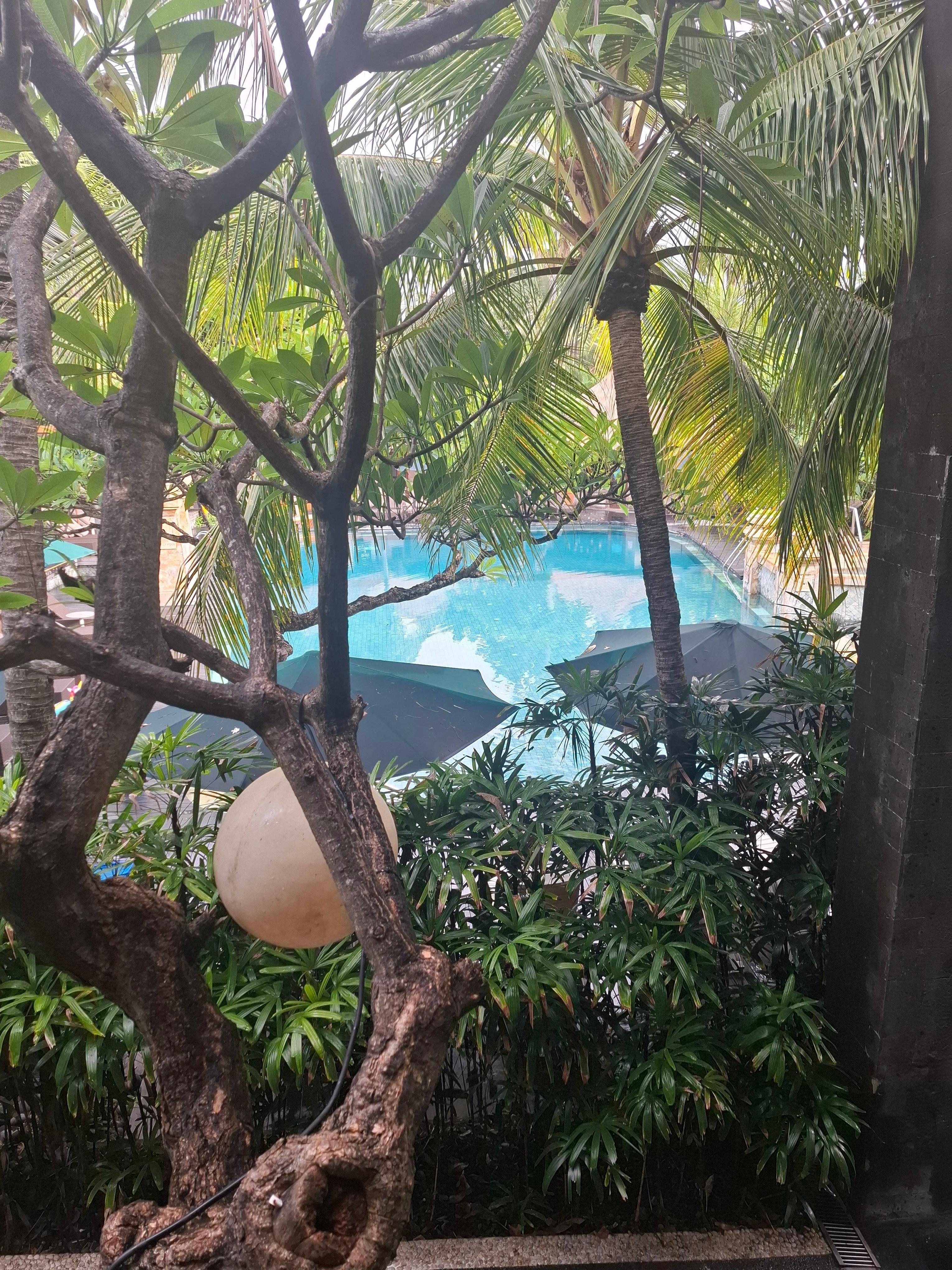 View from breakfast overlooking pool