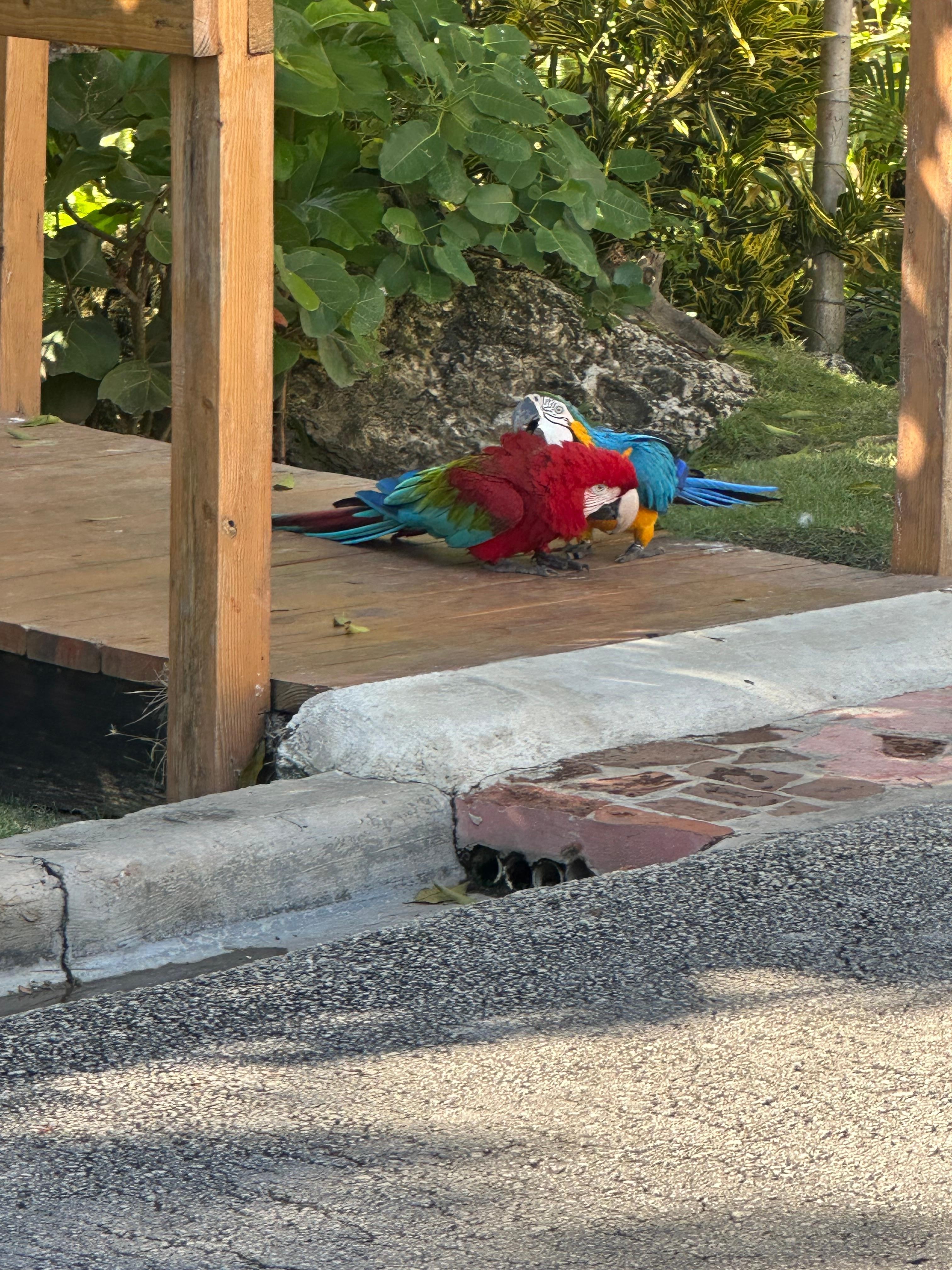 These guys weee just chilling out 