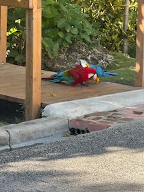 These guys weee just chilling out