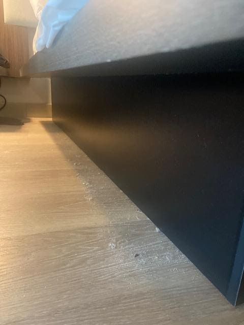 Moved the bed slightly over to find a line of dust, dirt, and termite droppings.