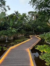 Lovely lily garden