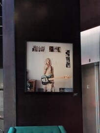 Album covers everywhere!!