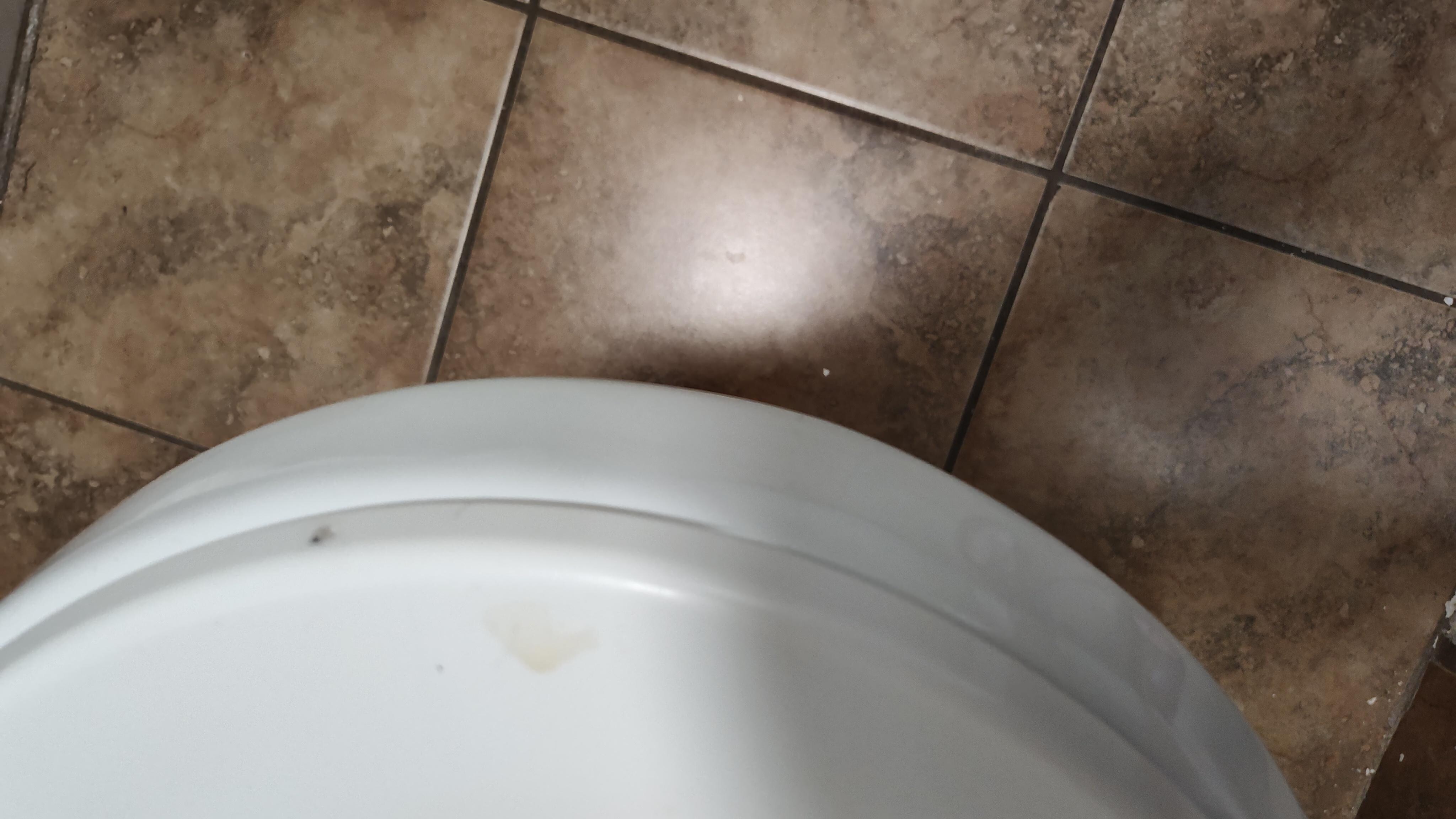 Another view of the toilet