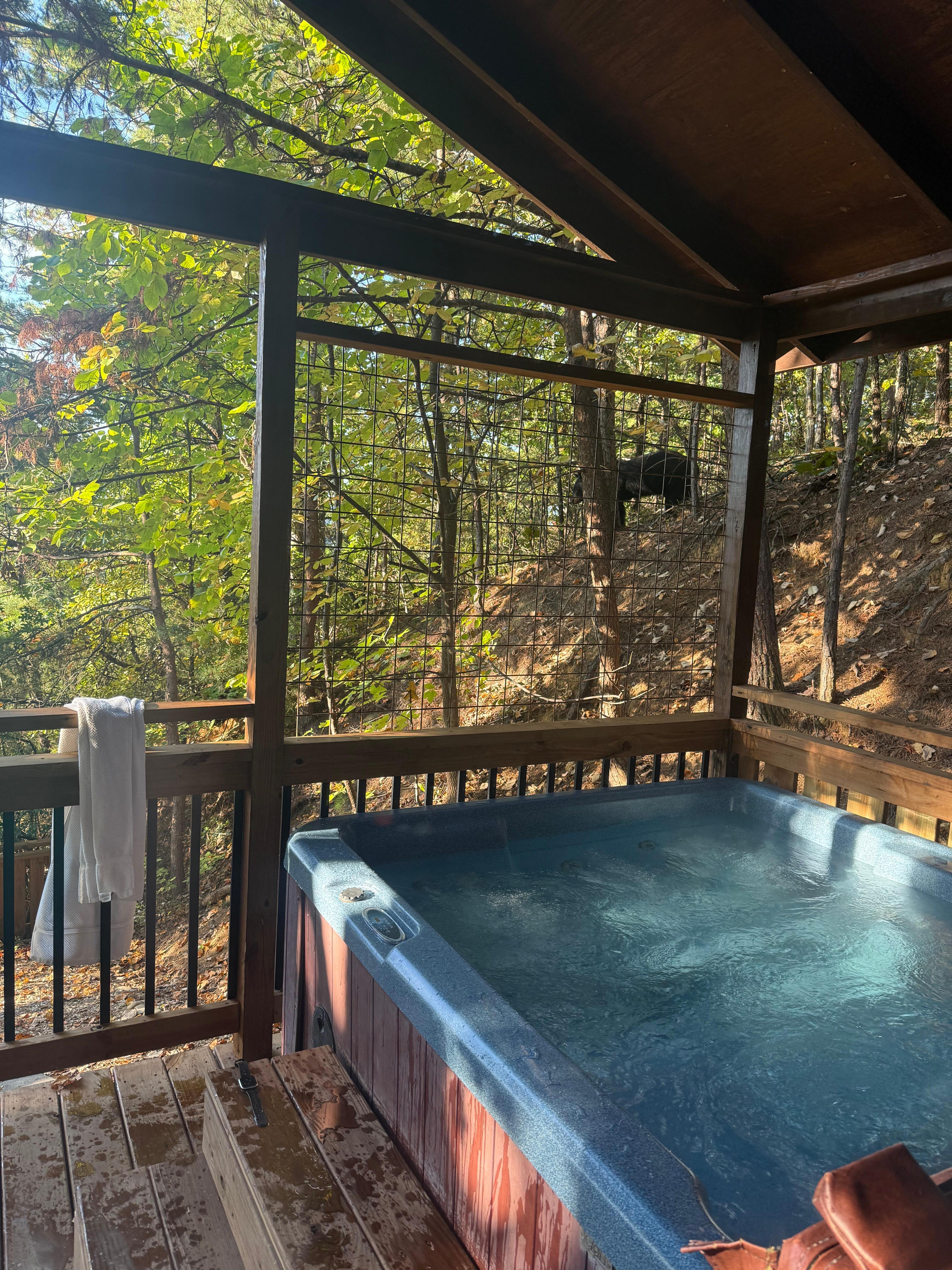 This is the bear from the hot tub. 