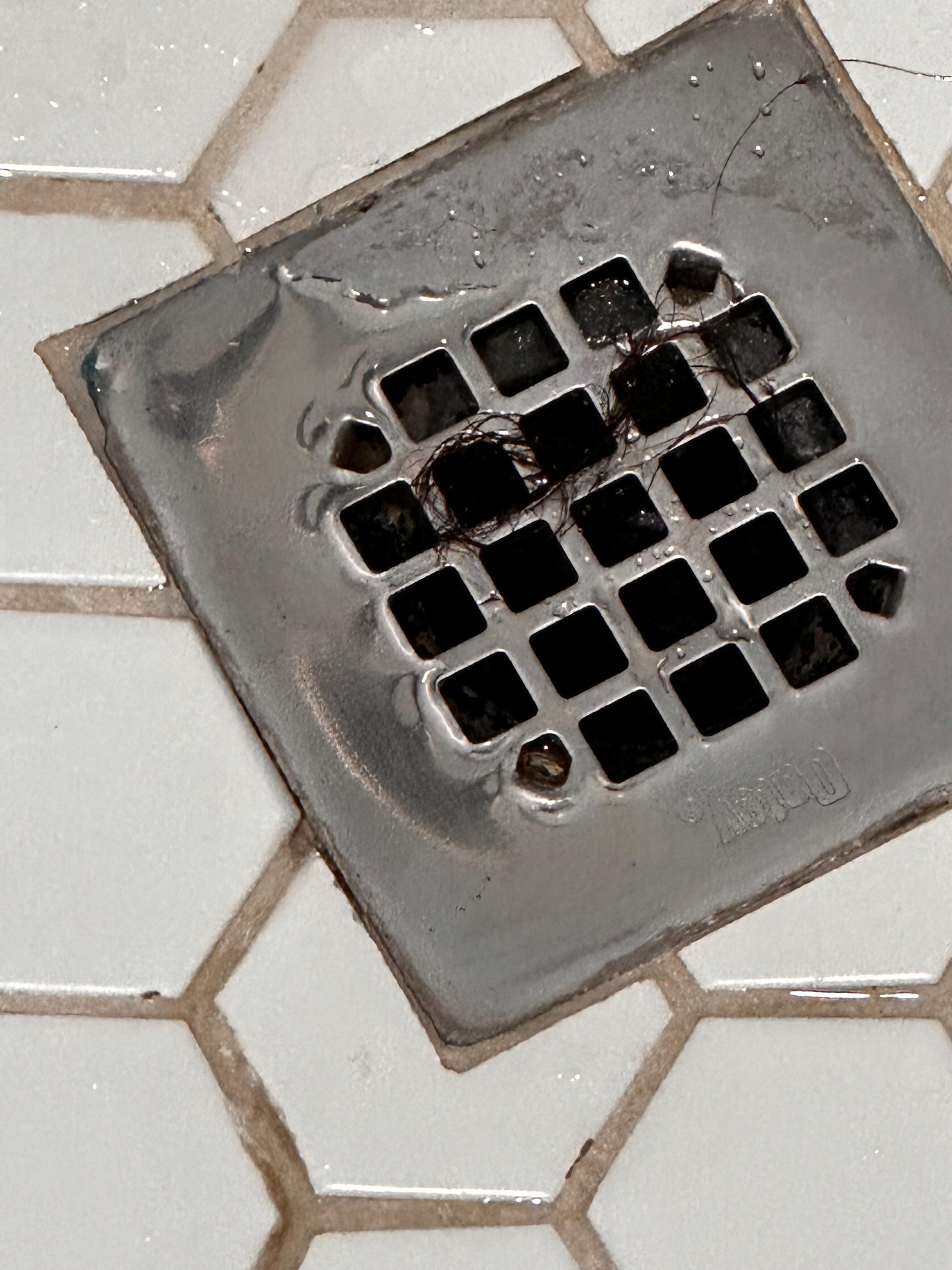 Hair in drain of shower 