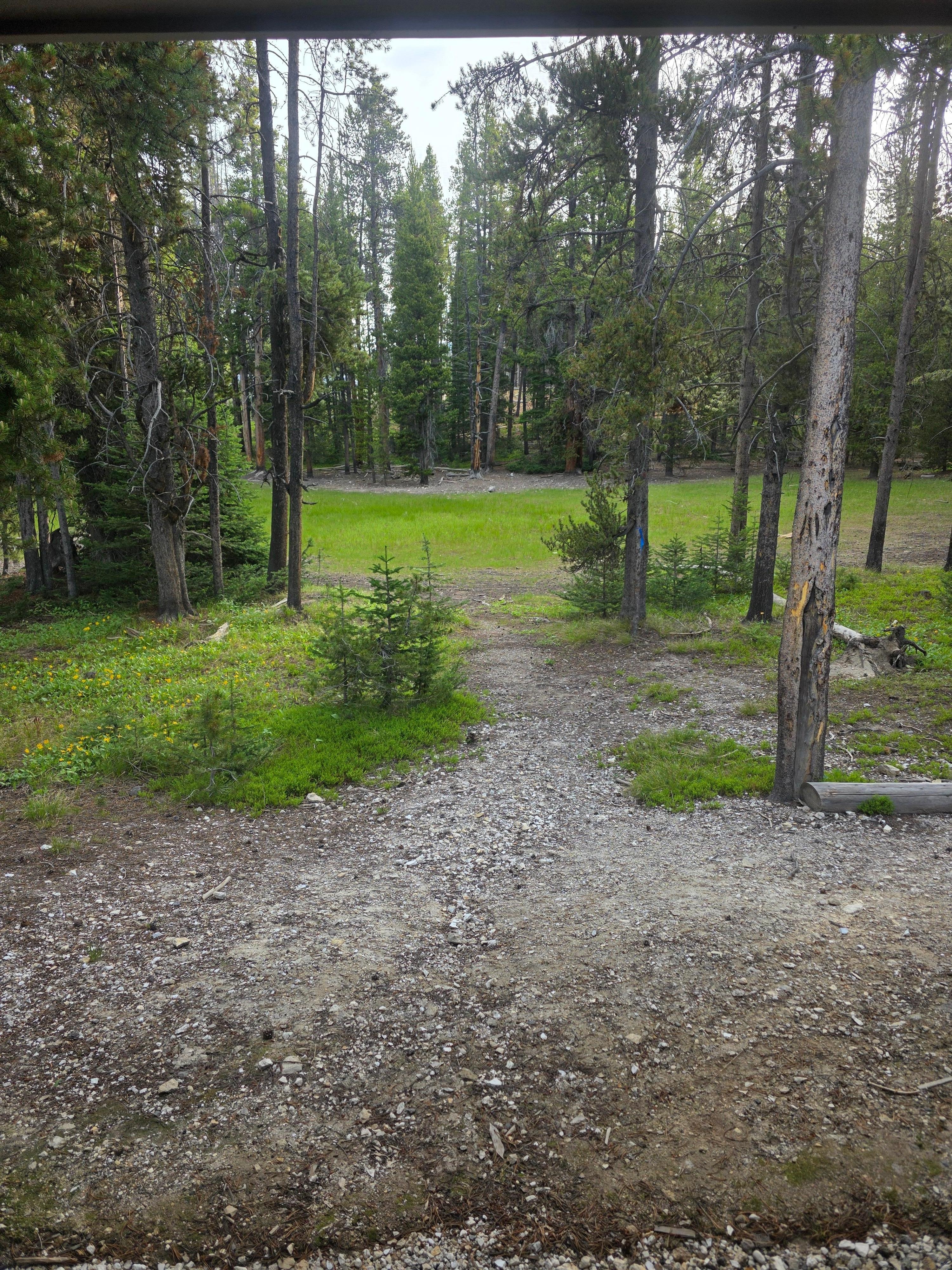 Our view out the back.