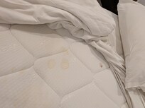 Stained mattress and torn bedding