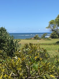 The view from the upstairs balcony.
