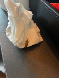 Kackerlacka i rummet