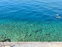 Water steps from the hotel