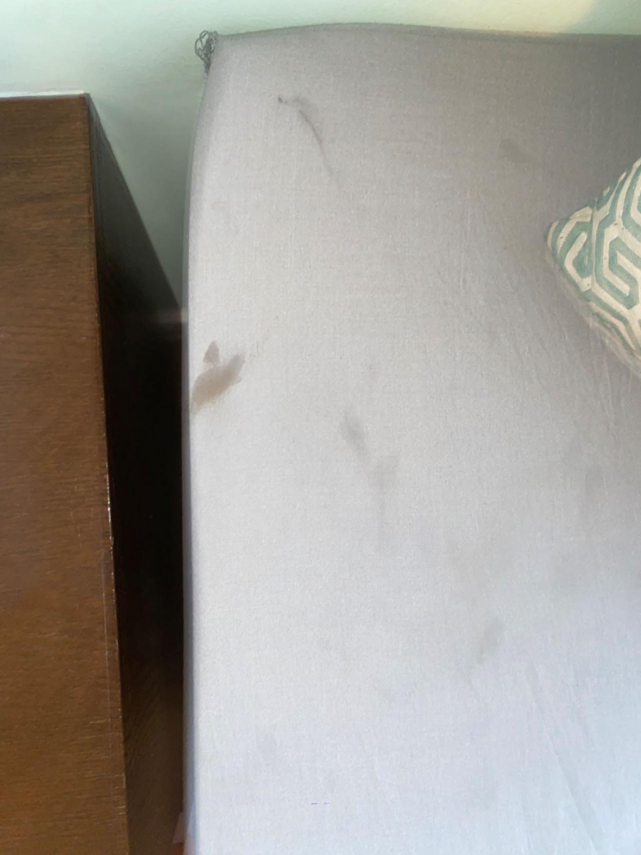 Grease stain on mattress. 