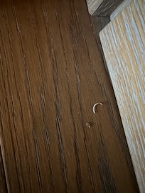 Zehnagel im Zimmer