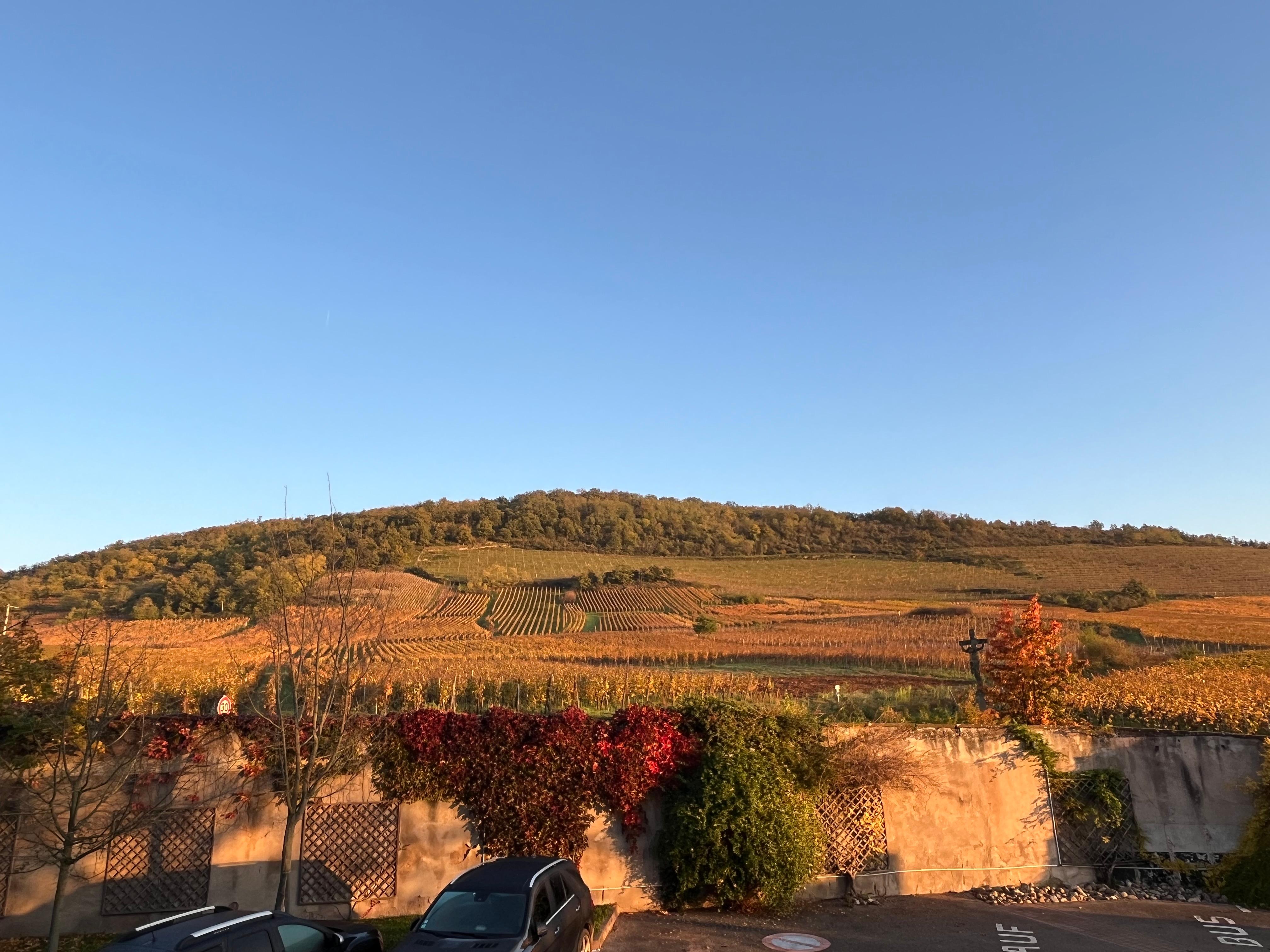 Vue de ma chambre 